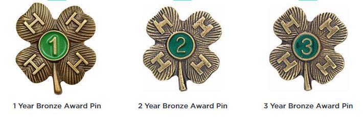 Annual 4-H Club Level Recognition Pins: 4-H Club Level Recognition Pins will be presented on an annual basis by the Incentives and Recognition Committee for each club.