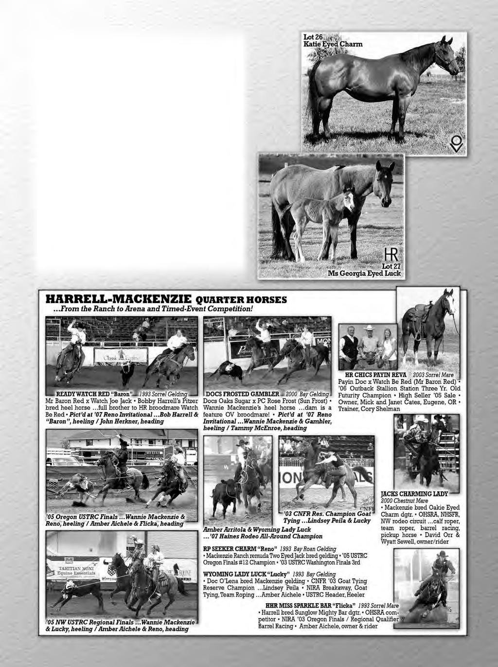 26 KATIE EYED CHARM 1991 Bay Mare #3042446 STRAWBERRY JACK TWO EYED JACK ROAN CHARMER MARGIE STAR STAR EYED CHARM STAR EYED JACK EZ GEORGIA SIR RELIC SIR BAR MISS FRANCY RELIC STRING RELIC CARR S