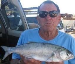 on, he landed a great little spanish mackerel of 3.1 kg gilled and gutted. This gave him the heaviest bag of fish of 5.
