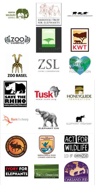 NEWS, FINANCIALS & SUPPORT PARTNERS & DONORS Thank you to all of Big Life s donors & partners that make our anti-poaching and community programs possible, including: SUPPORT BIG LIFE FOUNDATION If
