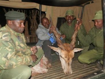 KENYA : SECURITY - December, commercial bush-meat poacher arrested transporting meat across the border into Kenya to sell in Namanga.
