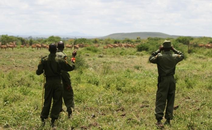Tanzania), TANAPA, Satao Elerai, Tsavo Pride and MWCT. The primary aim of cross-border operations is to increase ranger presence and coverage in areas that have historically received little attention.