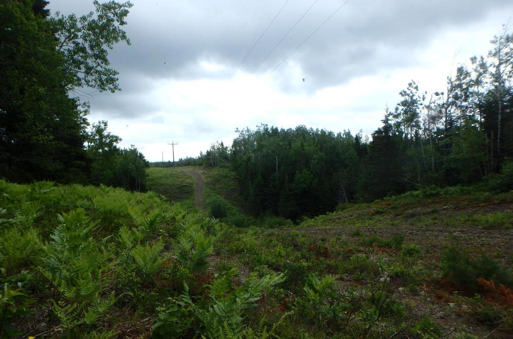 Above: Deeply incised watercourse valley. The Houlton Waters Project Project Description NB Power is proposing to construct and operate a 15.
