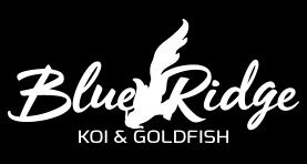 Please contact us for an updated list if yours is more than 1-2 business days old. Two half counts of different items can be packed together in one box. KOI KOI STANDARD GRADE 3-4" $ 2.