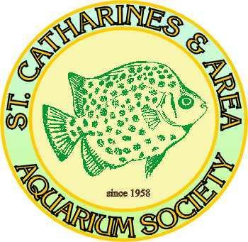 Official publication of The St. Catharines & Area Aquarium Society Since 1958 Inside this issue Club Notes, Fish of the Month, & Upcoming Event..... 2 Paul's Presidential Message.