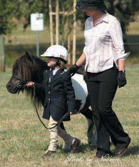 Emmylou was always the pony we pulled out of the paddock for the childrens handler classes at shows at short notice and she always helped her