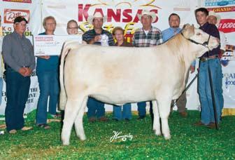 n Not only was Rapid Fire the most talked about bull in the barn during the National Show, but so were his full sisters that were the National Champion and Reserve Champion Females!
