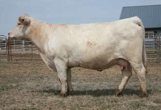 8 PF IMPRESSED 620 P ET WC-WCCC ROCKETFUEL 7109 M735869 SCC MISS 3027 ET SKYMONT P UNLIMITED 0115 n Bar S Ranch has brought you one of the more interesting pedigrees in the breed today with this