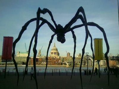 Giant Spiders Attacks our
