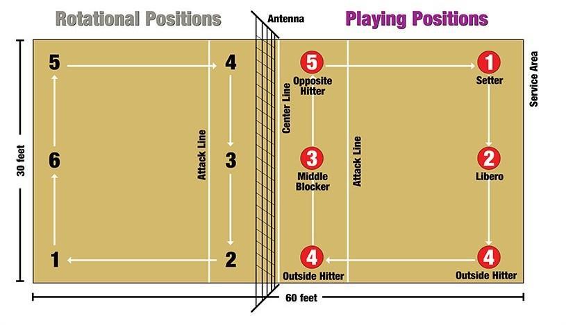 There are 6 rotational positions on the court. Before the ball is served, players must line up in two rows with 3 players in each row.