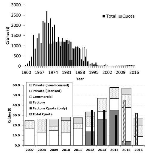 Figure 2 Nominal catches and commercial quotas (tonnes, round fresh weight) of salmon at West Greenland for 1960 2016 (top panel) and 2007 2016 (bottom panel).