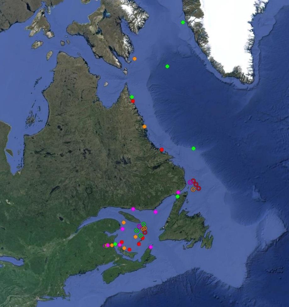 2012-2015 Satellite Tag Ending Locations 3 Returned to river as consecutive spawners. 20 in Gulf of St. Lawrence. Six potential predations. 14 in Northwest Atlantic. Two potential predations.