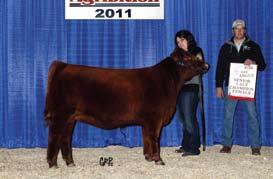 S. National Champion Female. She then went on to again win Grand Champion Female Honors at Fort Worth in February 2012.