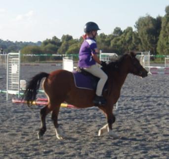 Our two Twilight Show jumping