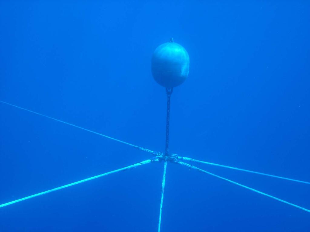 Buoys are suspended above the chain plate, to