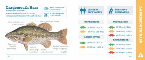 How to use this booklet. This booklet is meant to be a quick, easy-to-understand guide to choosing and eating safe fish from the Niagara River.