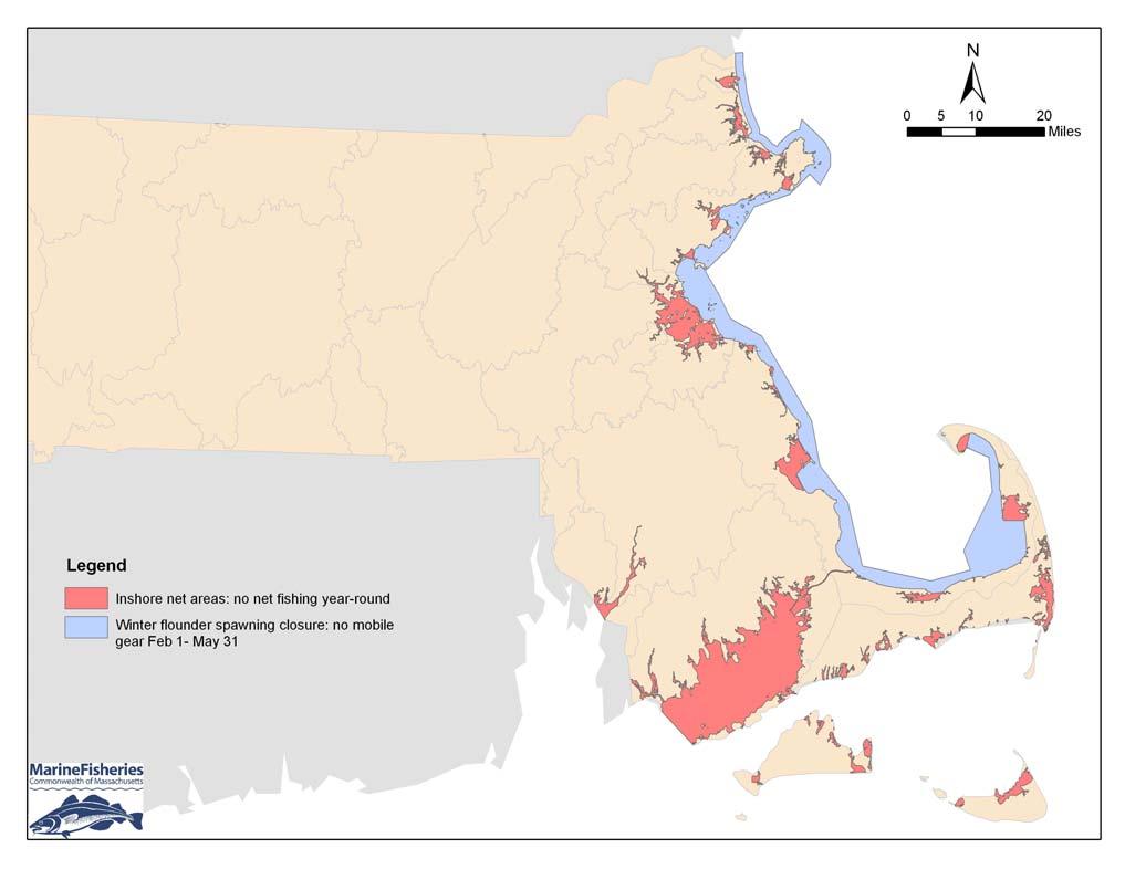1975, all Massachusetts in-shore embayments, including Boston Harbor and Buzzards Bay, were closed year-round to all nets for the protection of near-shore spawning habitat and larval and juvenile