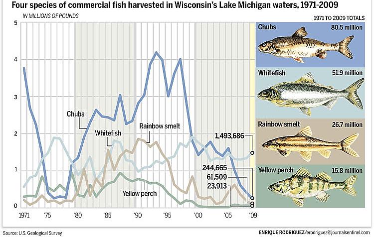 Bloater chub fishery collapse in Lake Michigan; August 13, 2011