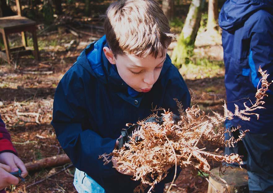Bushcraft and camp skills are all about learning to be equipped and comfortable outdoors.