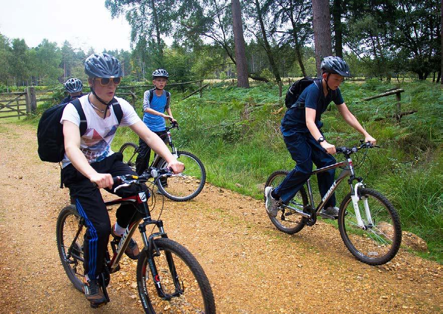 Marcus J Mountain Biking Our hire facilities and guided routes offer a range of options to get you out in The New Forest on your bike.