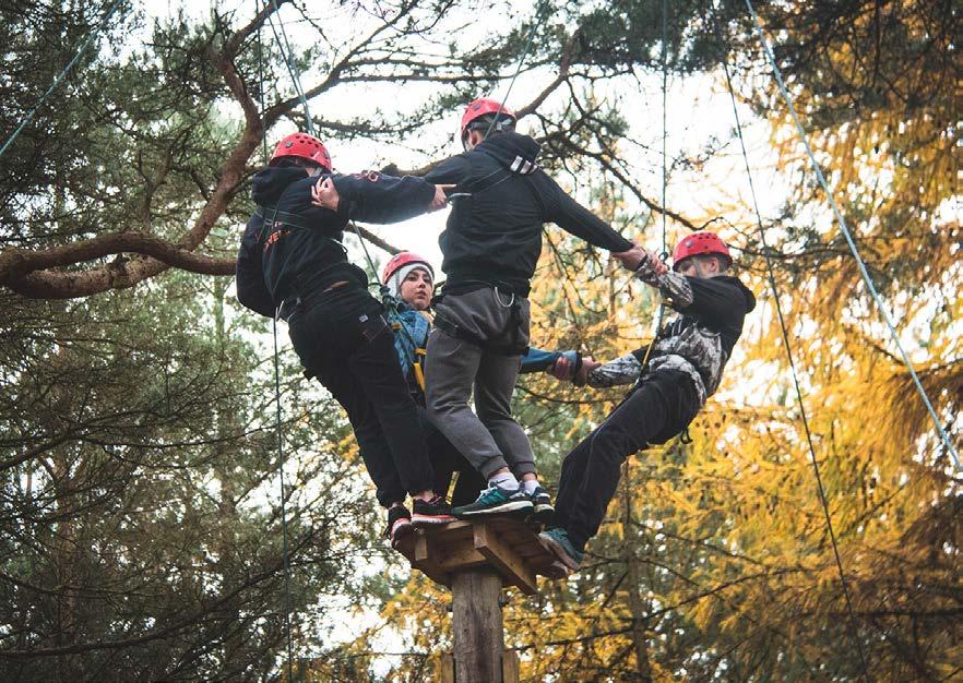 Our obstacle courses offer up lots of opportunity for fun, all of which can be found under the woodland canopy. High All Aboard Ascend to new heights together.