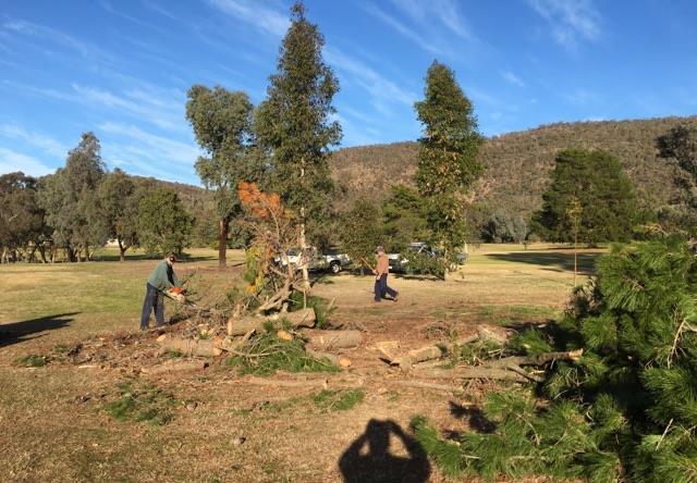 Allen Bastin Greens Report Irrigation: The river pump has been turned off. The irrigation pump was damaged by a bolt from the suction line going through the impellers causing $3000 damage.