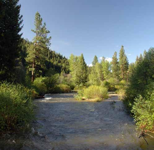 TThe West Fork River Mountain Retreat is located ample cover and shelter for the fish.
