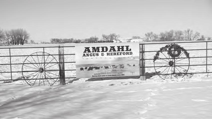 Welcome to Amdahl Angus & Hereford s 2019 Bull and Female Sale We thank you, our customers, friends and family for your support throughout the years.