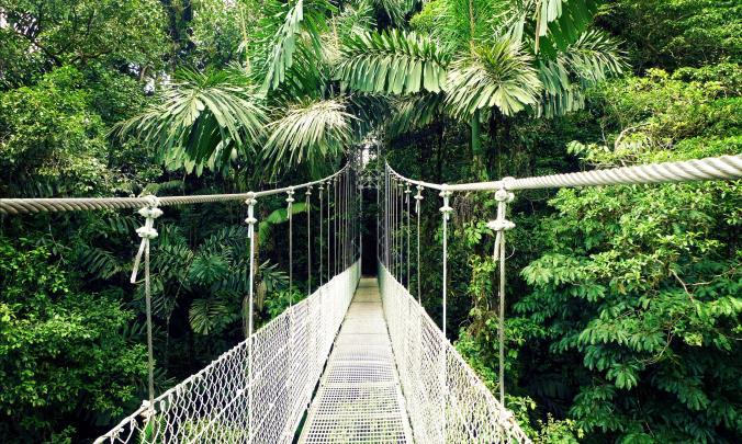 DAY 2 Tour Hanging bridges & Baldi Hot Springs Lodging Kioro, Twin suite Arenal Hanging Bridges are a unique way to see