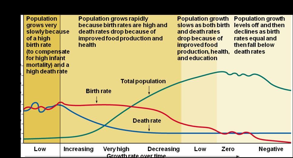 How Can We Slow Human Population Growth?