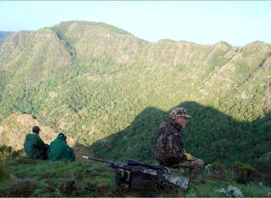 Hunting in Ethiopia With a 100 % success rate and an average of 37, our partner Northern Operations Africa is extremely proud to say that nobody can compare with the consistency in quality of Mt.