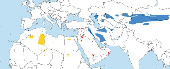 species were only addressed by using morphological traits. In a recent study (Wacher et al. 2010) the phylogenetic relationships between G. s. subgutturosa from east of the Euphrates/Tigris basin and those from the Arabian Peninsula (G.