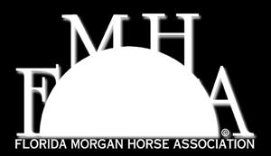 HORSE ASSOCIATION A United States