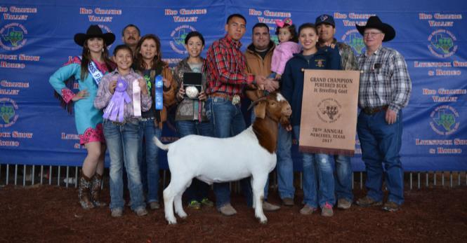 Banner Class 14 - Reserve Grand Champion Purebred Female - Scholarship, Trophy and Banner PUREBRED BOER BUCKS Class 15 Purebred bucks ages 0 to 6 months Class 16 Purebred bucks ages 6 to 12
