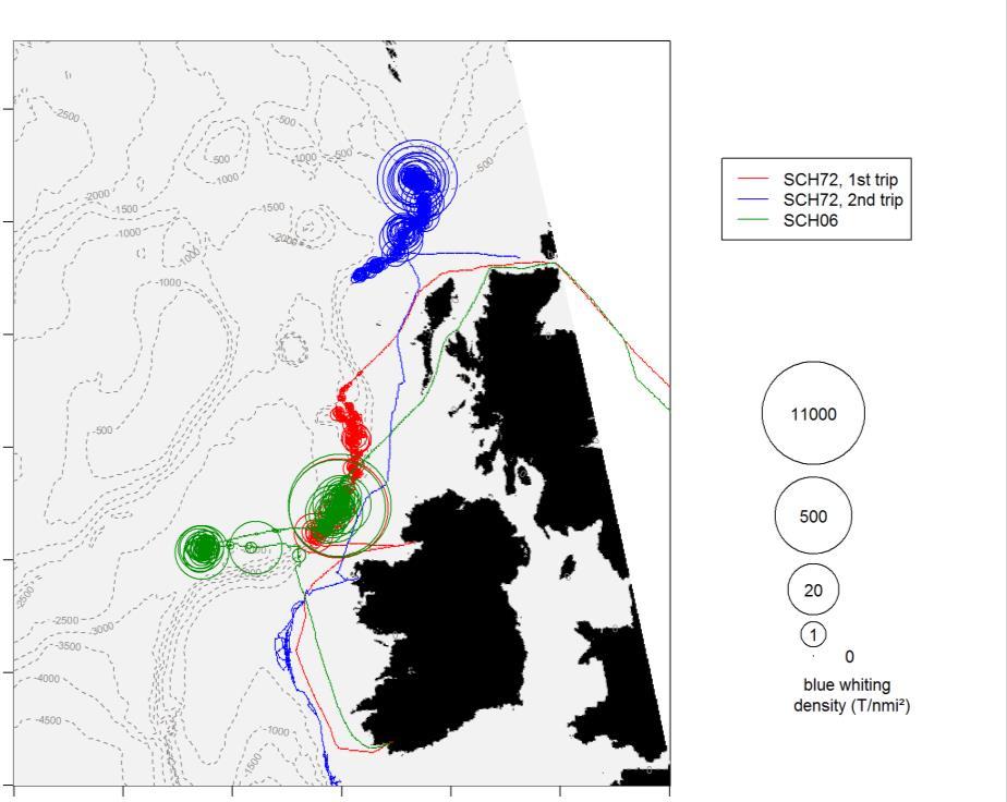 Figure 10 : acoustic estimates of sprat density in the Southern North Sea