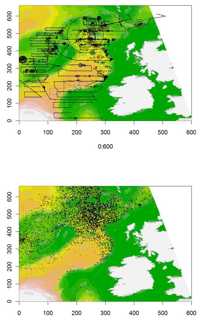 Herring acoustic survey 2011 (Dutch part) Blue whiting 2005 acoustic survey Extrapolated herring abundance Extrapolated blue whiting abundance Figure 11 : examples of resource distribution used in