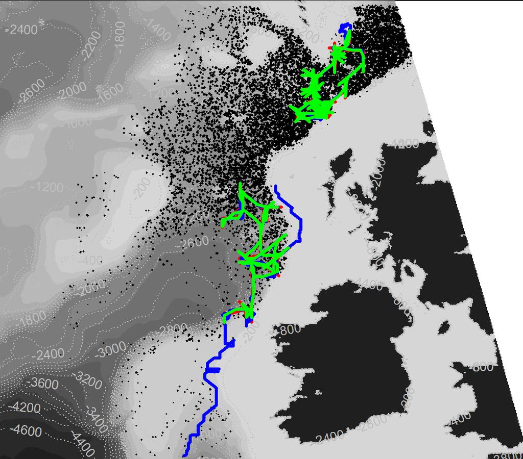 Figure 12: example of two simulated fishing trip on blue whiting, based on the 2011 abundance. The white dots show the starting point of the vessels.