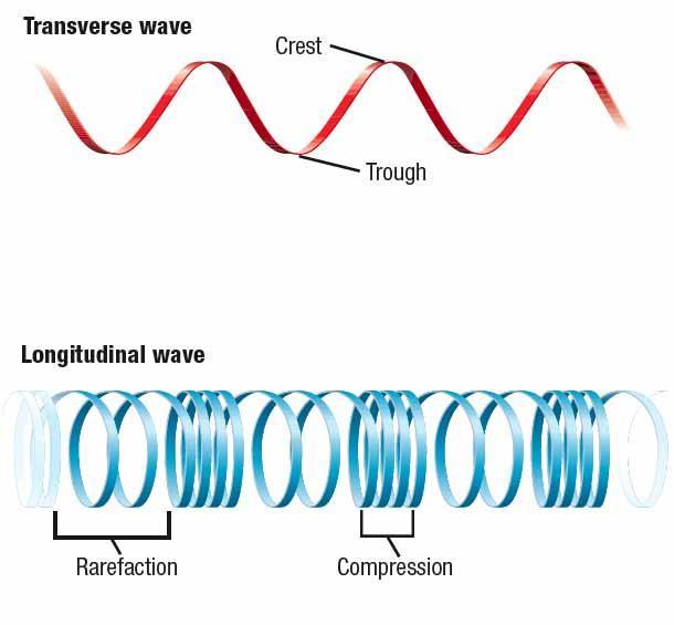 Waves Section 1 Transverse and Longitudinal Waves, continued Waves have crests and troughs or compressions and rarefactions.