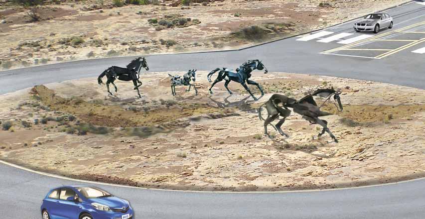 Wild horses will bring excitement to the two new roundabouts that connect Interstate 70 with Horizon Drive and the city of Grand Junction.
