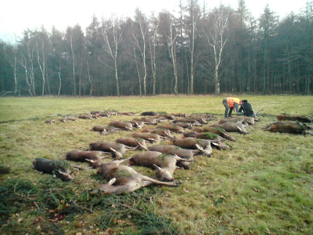 Expected result of the hunting day + - 30 animals down A past daily game bag Pricing game preserve All below mentioned prices defined without 21% VAT.