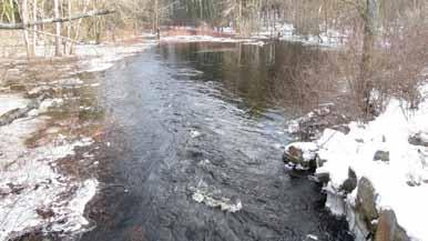 The River in Winter - A Time for Reflection by Dave Williams The Ipswich River is my home water. I have fished it off and on since I was 10.