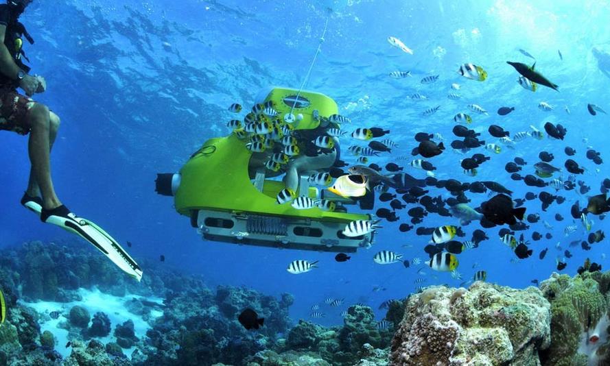 You will see the coral garden, the aquarium and the colorful fishes driving your underwater