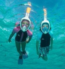 with the better safety. Snorkeling S Cool is your 3h semi-private tour, 2 to 10 p.