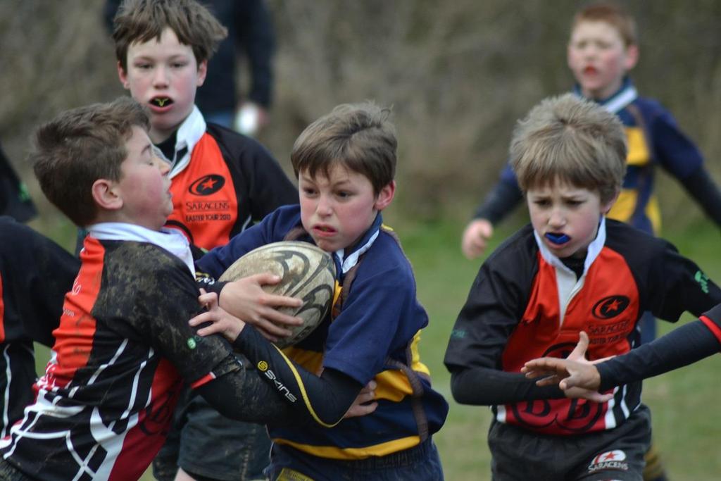 West Sussex Mini Rugby Festival