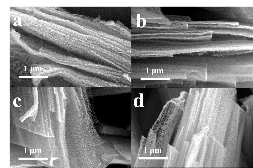 Fig. S8 (a) SEM and (e) TEM images of