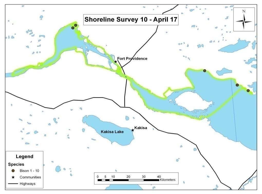 16 Figure 6.9: All recorded observations of large mammals from the ninth shoreline patrol, April 9, 2009.