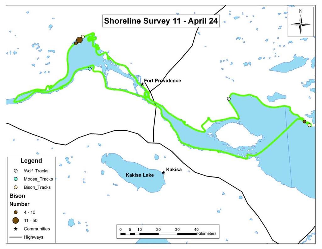 17 Figure 6.11: All recorded observations of large mammals from the eleventh shoreline patrol, April 24, 2009. The final shoreline patrol of the 2008/09 season was flown on April 24, 2009.
