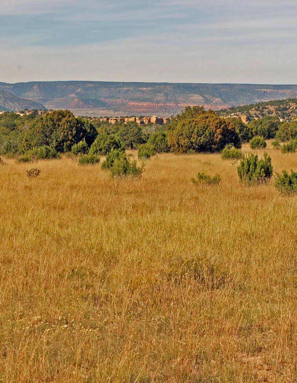 Deer Canyon Ranch 5,469 +/- Deeded Acres, 640 Acres NM State Lease, 6,109 Total Acres+/- Harding and San Miguel Counties, New
