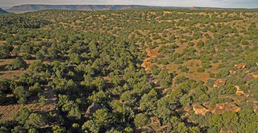 Deer Canyon Ranch is located approximately 6 road miles from the ranching community of Mosquero, NM.