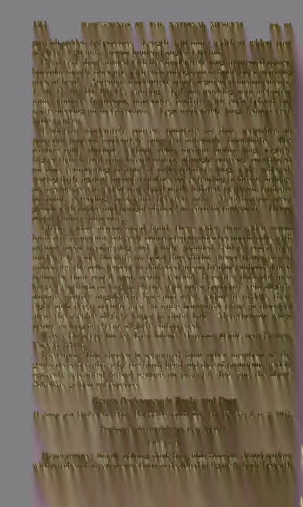 134 PROCEEDINGS OF THE NATIONAL MUSEUM vol. lis grayish-golden pubescence. Length 3.40 mm.; width at widest part of elytra 1.20 mm., across humeral angles 1.00 mm.